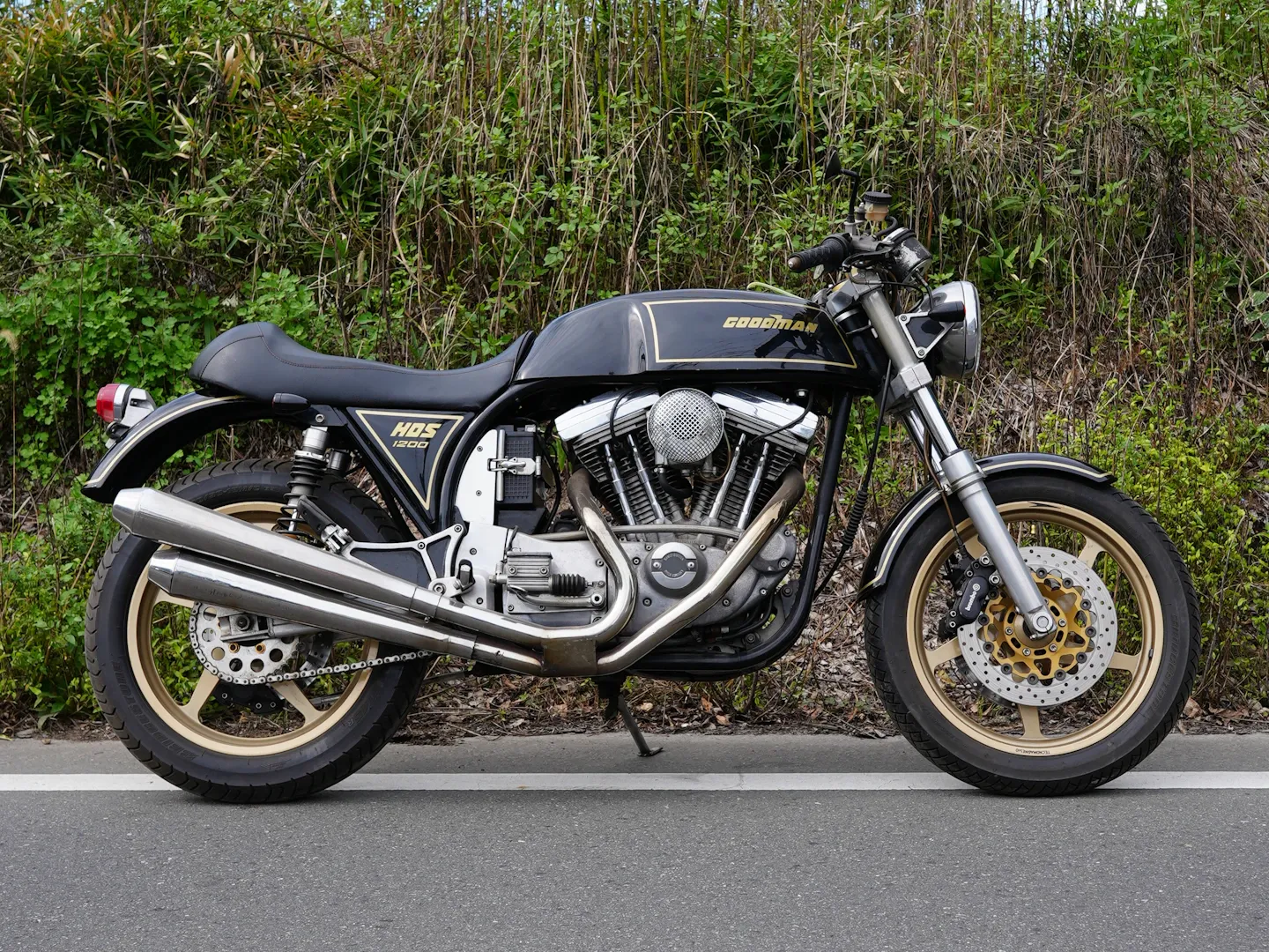 HDS1200 GOODMAN