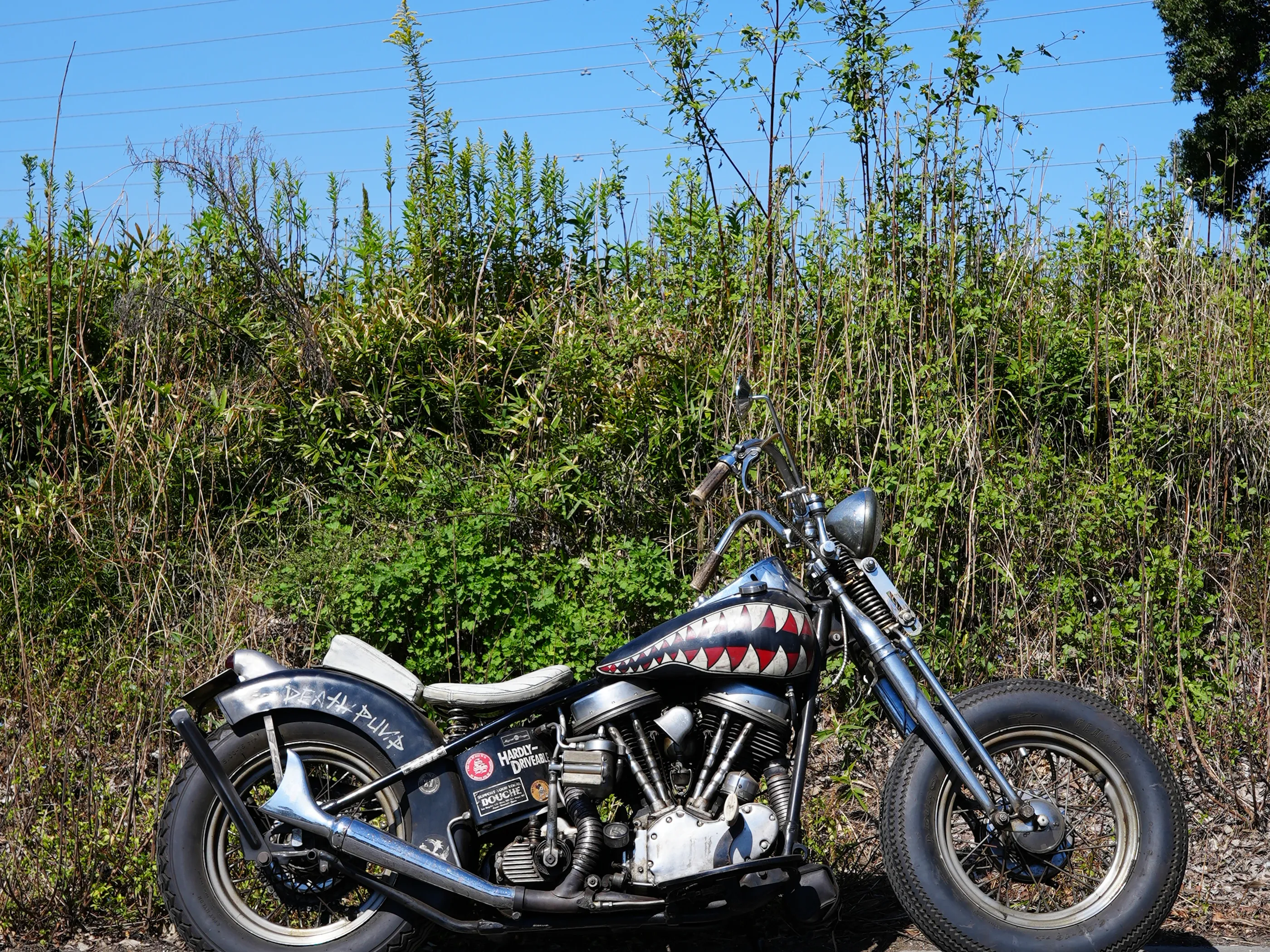 1965 FLH PANHEAD 写真1