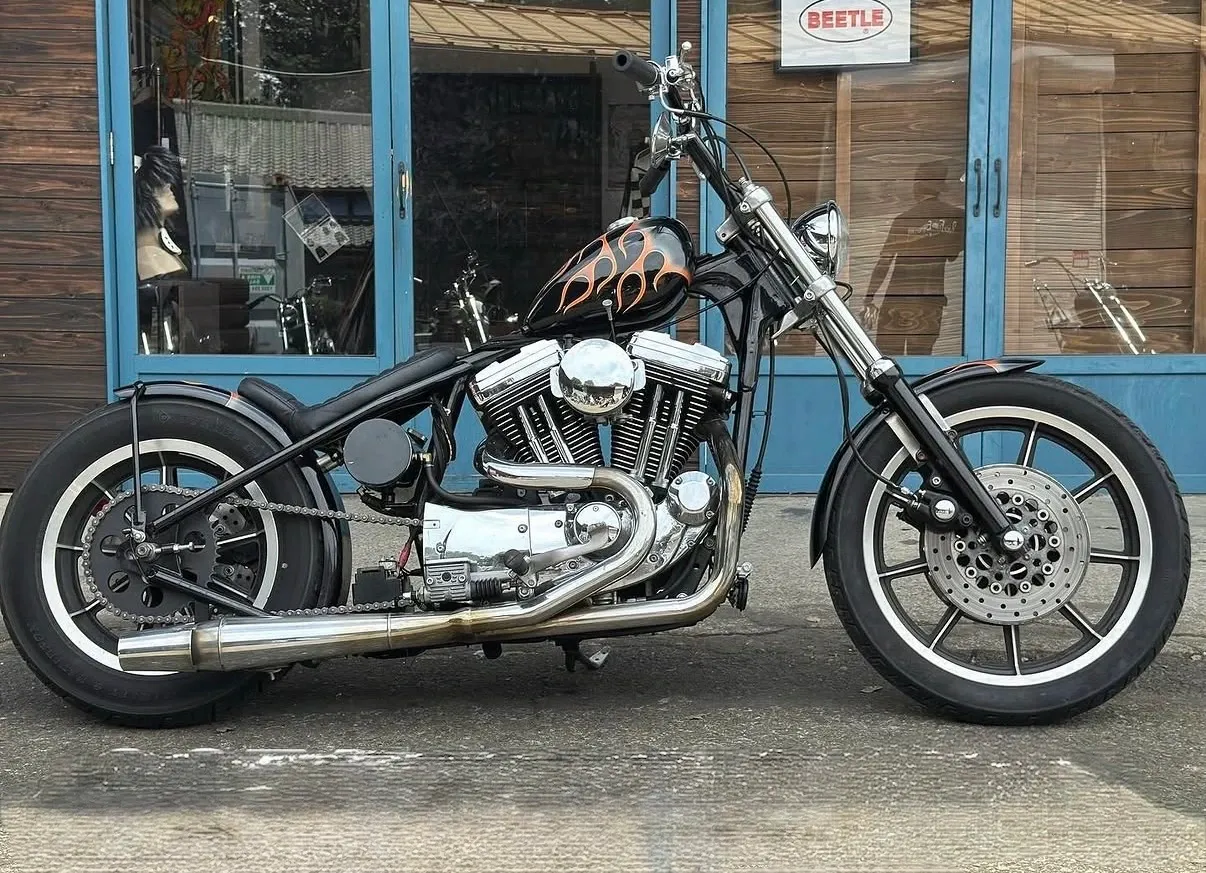 SPORTSTER RIGID 写真1